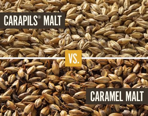 carapils vs caramel malt.